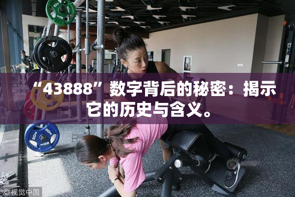 “43888”数字背后的秘密：揭示它的历史与含义。