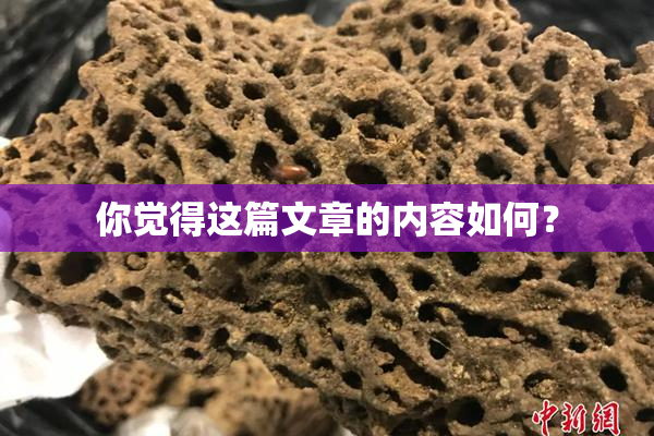 你觉得这篇文章的内容如何？