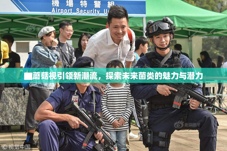 ▇蘑菇视引领新潮流，探索未来菌类的魅力与潜力