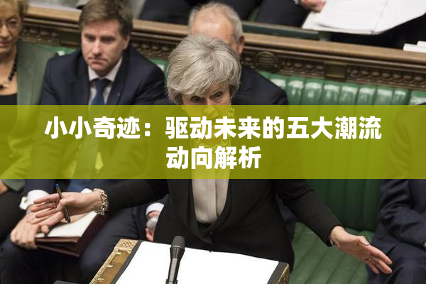 小小奇迹：驱动未来的五大潮流动向解析