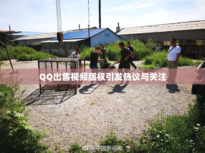 QQ出售视频版权引发热议与关注