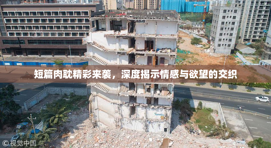 短篇肉耽精彩来袭，深度揭示情感与欲望的交织