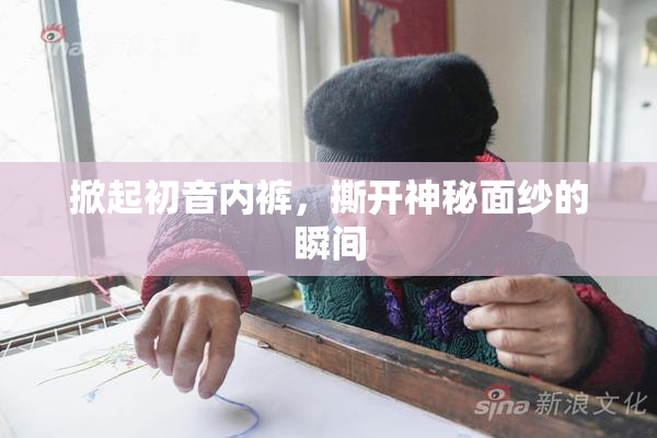 掀起初音内裤，撕开神秘面纱的瞬间