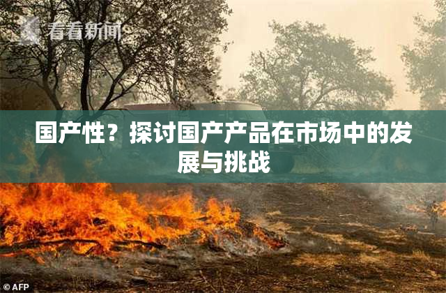 国产性？探讨国产产品在市场中的发展与挑战