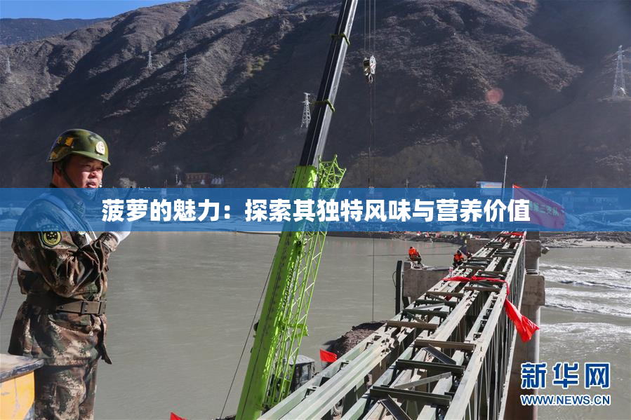 菠萝的魅力：探索其独特风味与营养价值