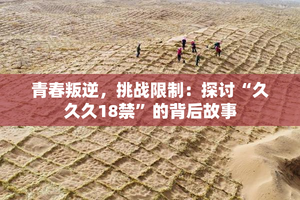 青春叛逆，挑战限制：探讨“久久久18禁”的背后故事