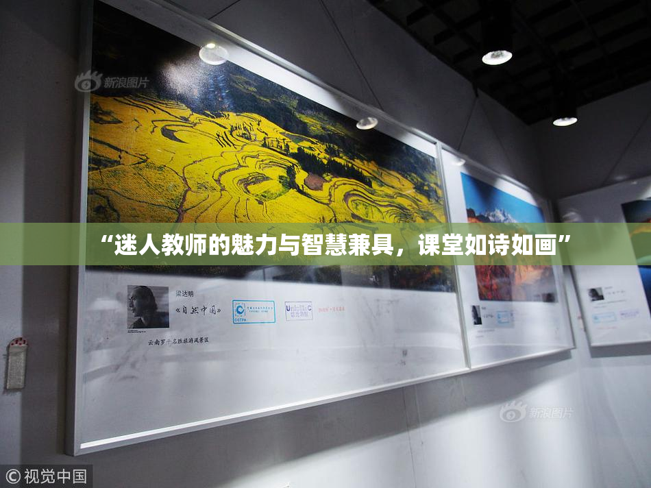 “迷人教师的魅力与智慧兼具，课堂如诗如画”