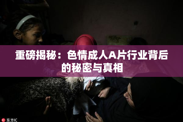 重磅揭秘：色情成人A片行业背后的秘密与真相