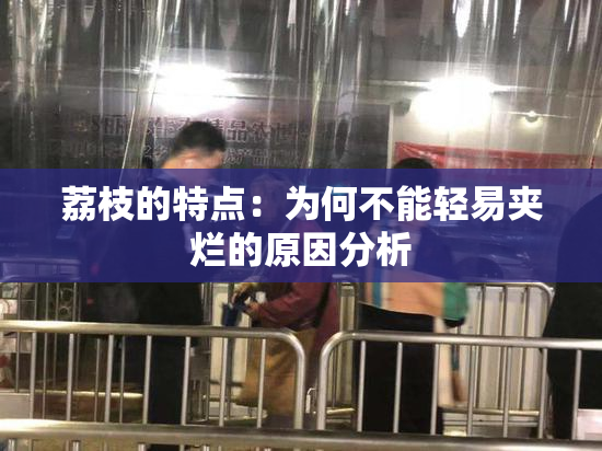 荔枝的特点：为何不能轻易夹烂的原因分析