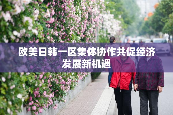 欧美日韩一区集体协作共促经济发展新机遇