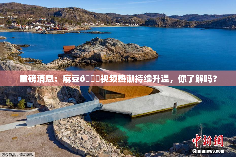 重磅消息：麻豆🔞视频热潮持续升温，你了解吗？