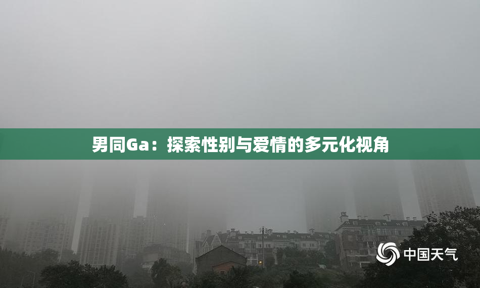 男同Ga：探索性别与爱情的多元化视角