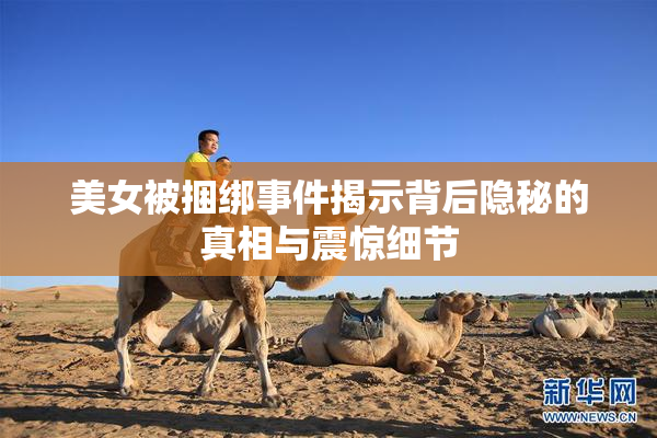 美女被捆绑事件揭示背后隐秘的真相与震惊细节
