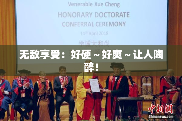 无敌享受：好硬～好爽～让人陶醉！