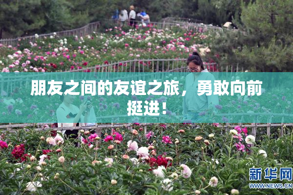 朋友之间的友谊之旅，勇敢向前挺进！