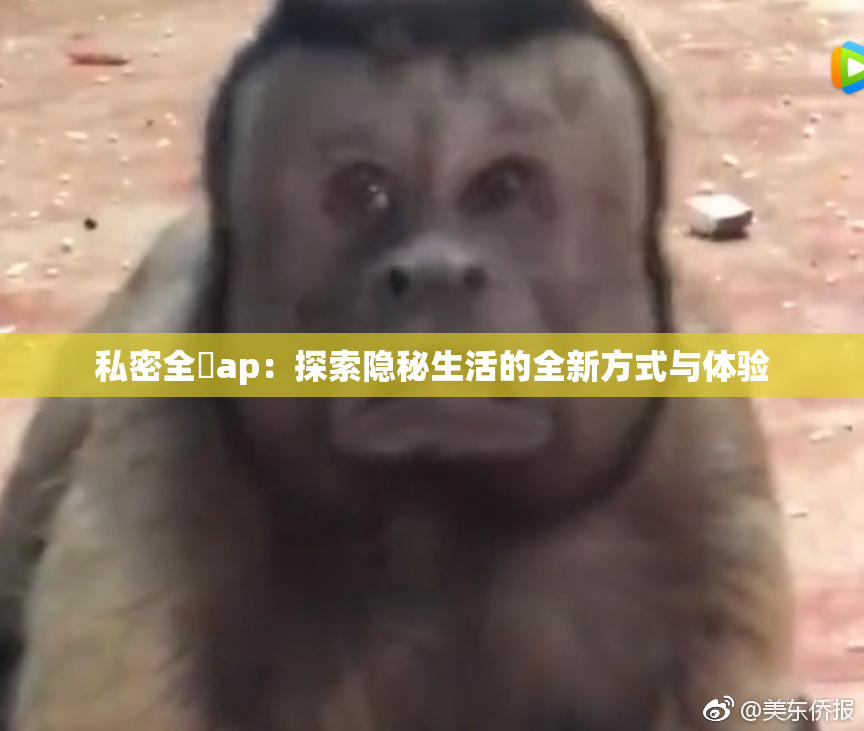 私密全婐ap：探索隐秘生活的全新方式与体验