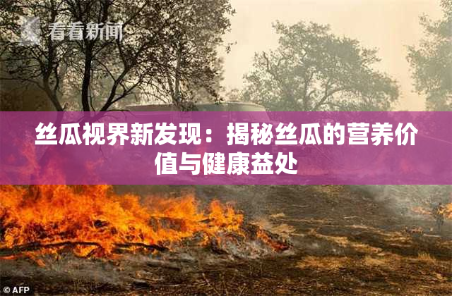 丝瓜视界新发现：揭秘丝瓜的营养价值与健康益处
