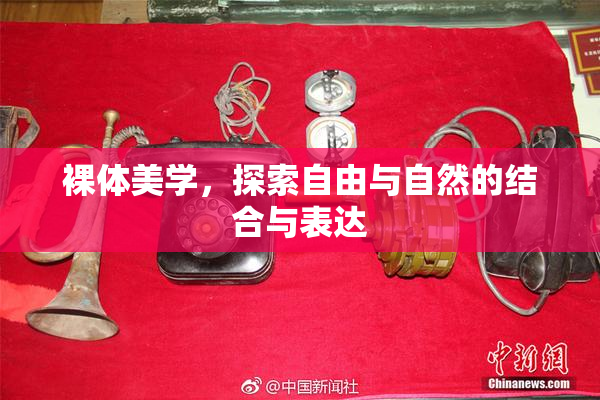 裸体美学，探索自由与自然的结合与表达