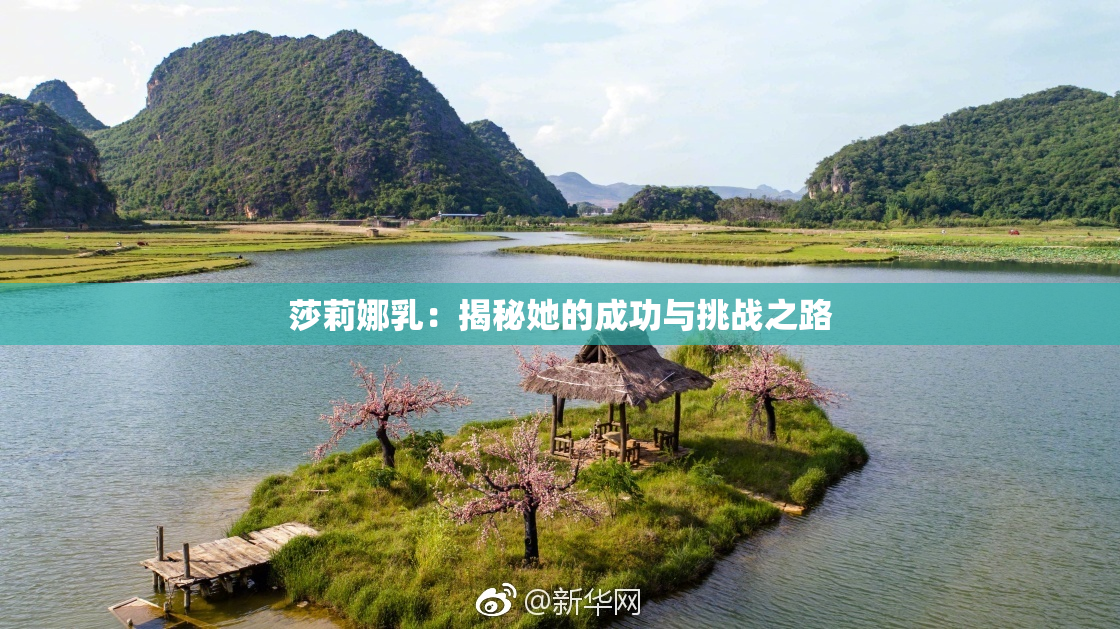 莎莉娜乳：揭秘她的成功与挑战之路