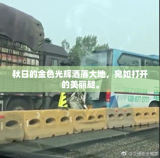秋日的金色光辉洒落大地，宛如打开的美丽腿。