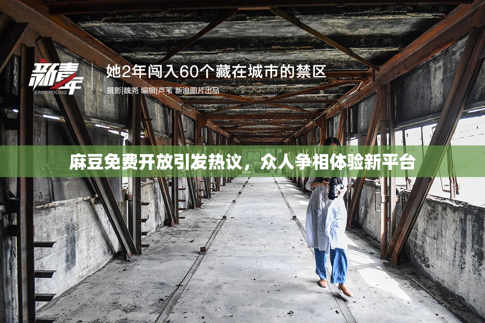 麻豆免费开放引发热议，众人争相体验新平台