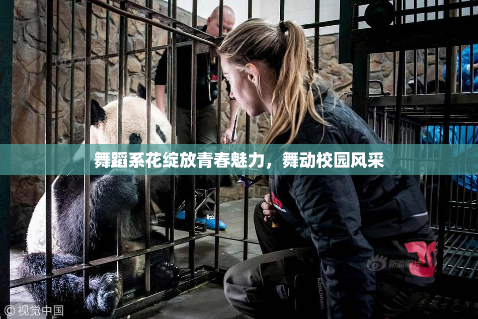 舞蹈系花绽放青春魅力，舞动校园风采