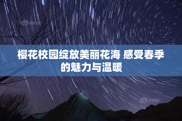 樱花校园绽放美丽花海 感受春季的魅力与温暖