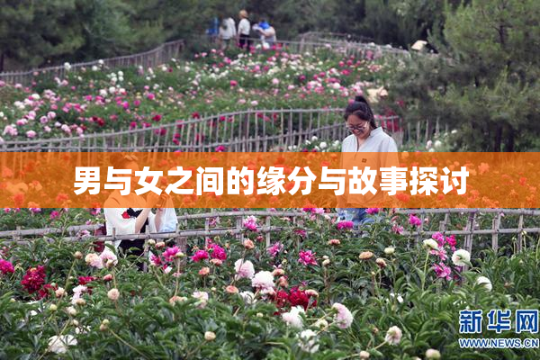 男与女之间的缘分与故事探讨