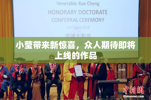 小莹带来新惊喜，众人期待即将上线的作品