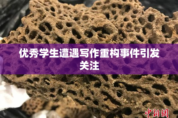 优秀学生遭遇写作重构事件引发关注