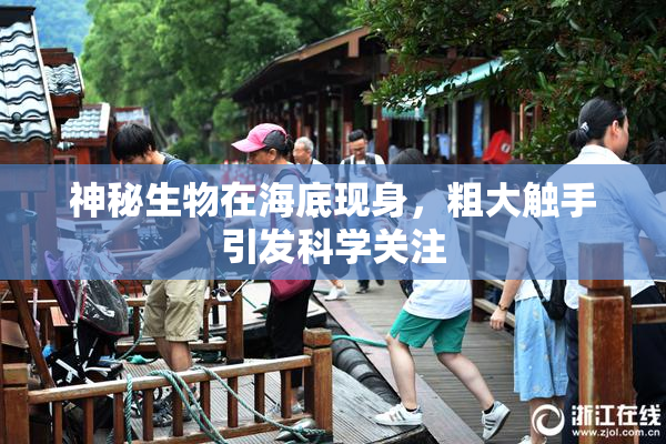 神秘生物在海底现身，粗大触手引发科学关注