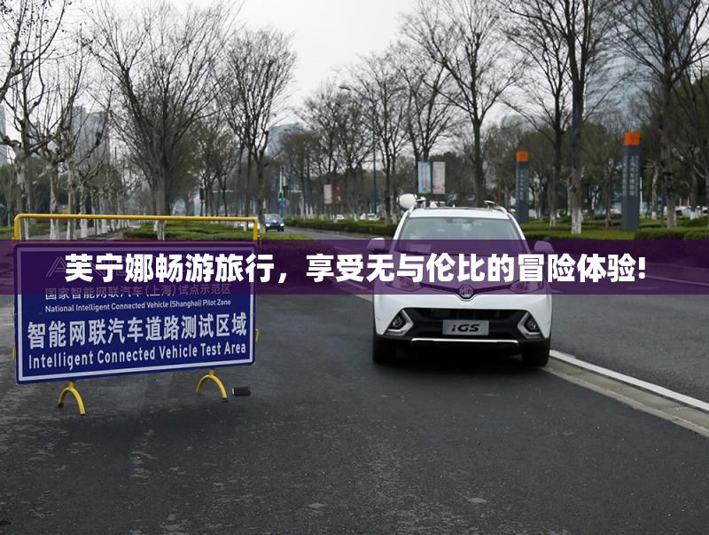 芙宁娜畅游旅行，享受无与伦比的冒险体验!