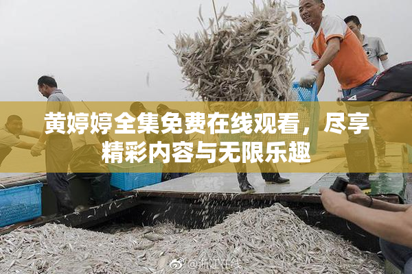 黄婷婷全集免费在线观看，尽享精彩内容与无限乐趣