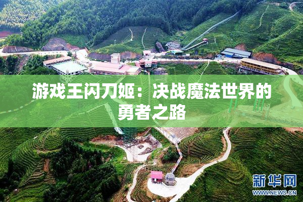 游戏王闪刀姬：决战魔法世界的勇者之路