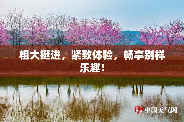粗大挺进，紧致体验，畅享别样乐趣！