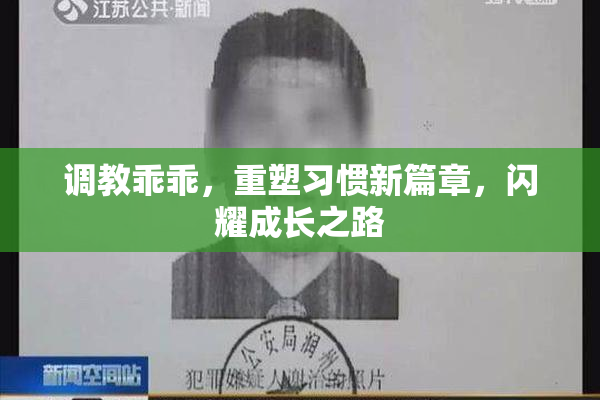 调教乖乖，重塑习惯新篇章，闪耀成长之路