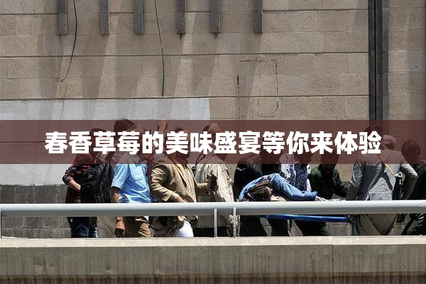 春香草莓的美味盛宴等你来体验