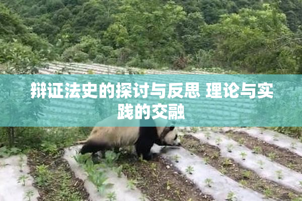 辩证法史的探讨与反思 理论与实践的交融