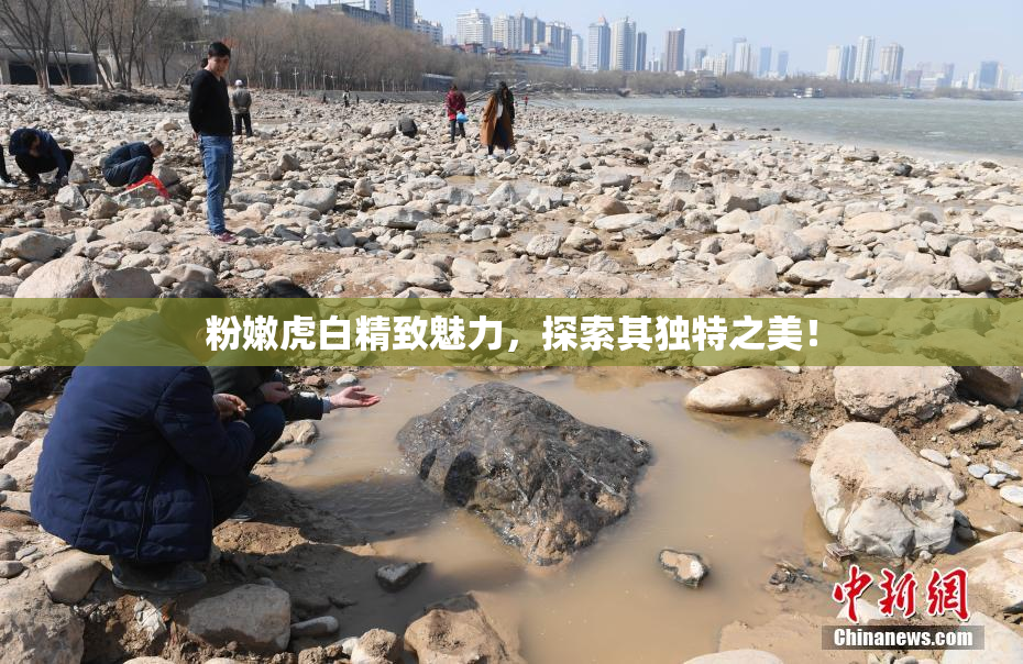 粉嫩虎白精致魅力，探索其独特之美！