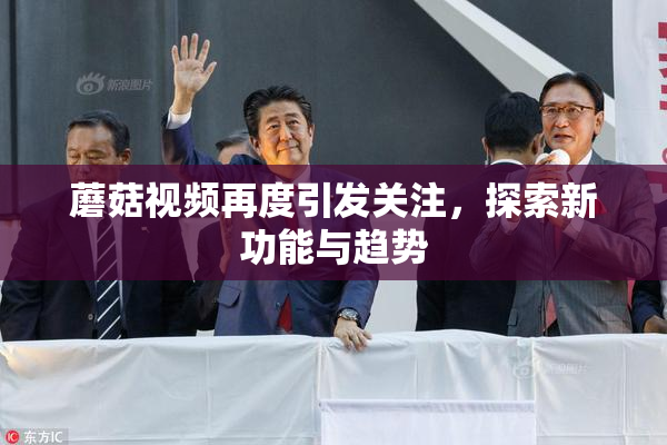 蘑菇视频再度引发关注，探索新功能与趋势