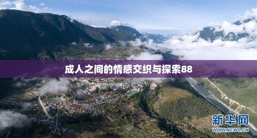 成人之间的情感交织与探索88