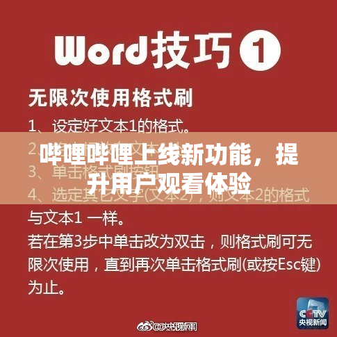 哔哩哔哩上线新功能，提升用户观看体验