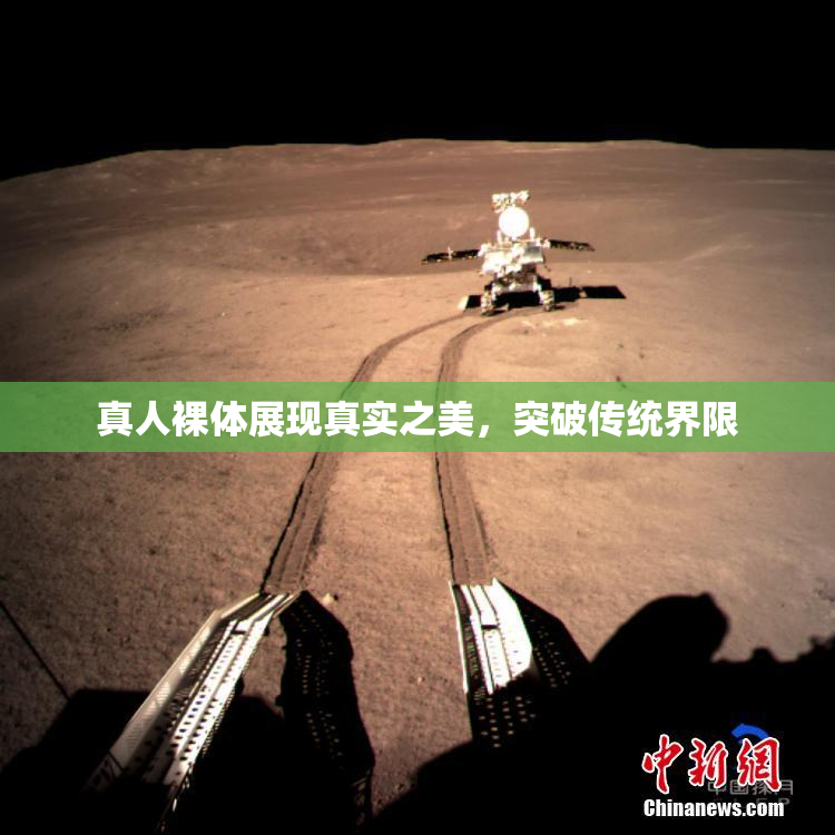 真人裸体展现真实之美，突破传统界限