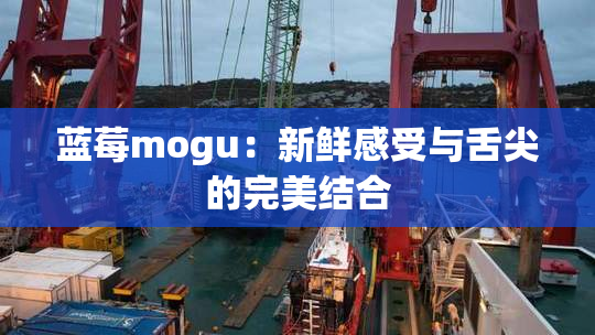 蓝莓mogu：新鲜感受与舌尖的完美结合