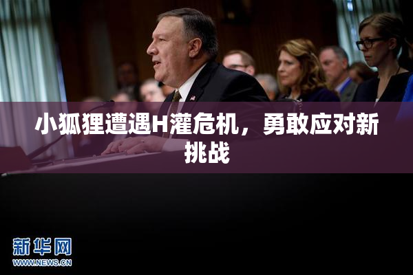 小狐狸遭遇H灌危机，勇敢应对新挑战