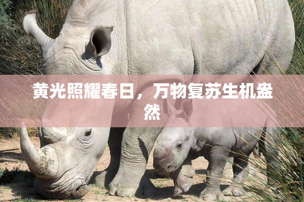 黄光照耀春日，万物复苏生机盎然