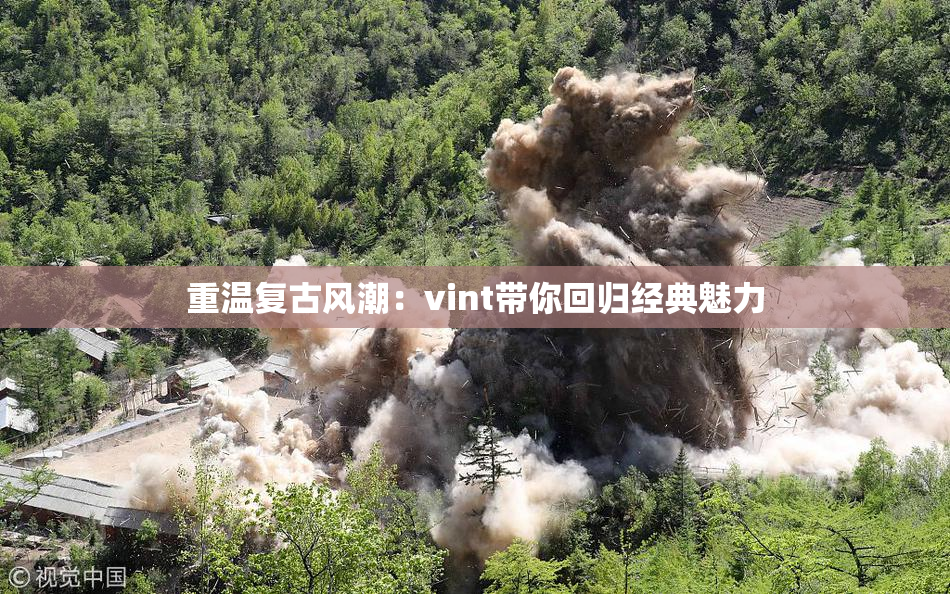 重温复古风潮：vint带你回归经典魅力