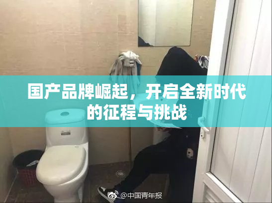 国产品牌崛起，开启全新时代的征程与挑战