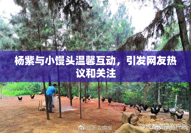 杨紫与小馒头温馨互动，引发网友热议和关注