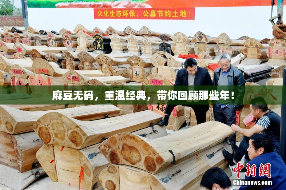 麻豆无码，重温经典，带你回顾那些年！